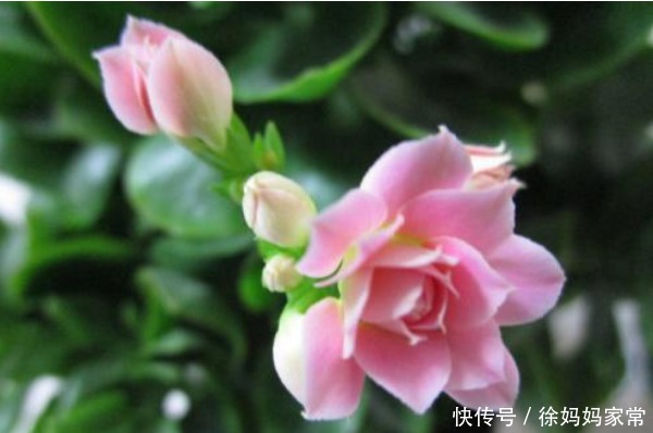 俗话说:天无绝人之路,霉运降临时牢记4句话,必将财福满满!