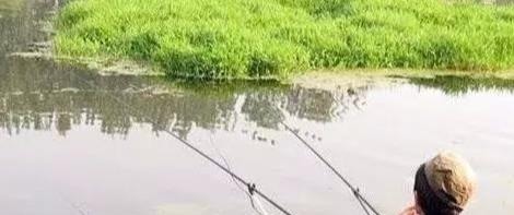 秋钓草边“三钓”、“三不钓”，用好了总有一次要爆护