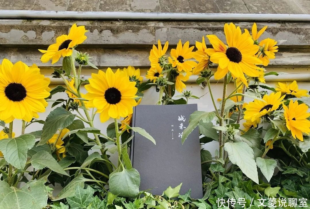 新书推荐|何达《战未决》:一幅全民族抗战初期的历史画卷