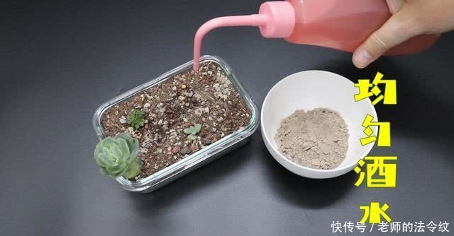 妙用|蚊香灰的妙用，蚊香灰的作用，直接倒掉太浪费了