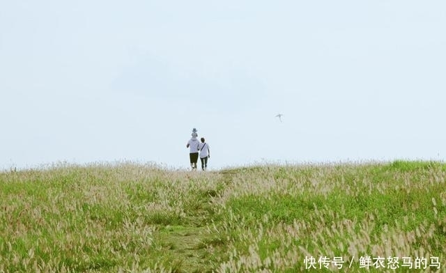 不去内蒙古也能看到草原，南京这处坝上草原，你必须知道！