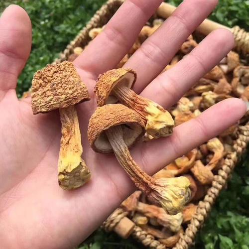 高血脂|高血脂不能吃土豆?医生提醒:一旦血脂偏高,这3种素食也要忌口