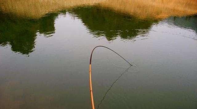 夏季钓鱼,为何经常跑鱼最大的原因是“你钓错了”