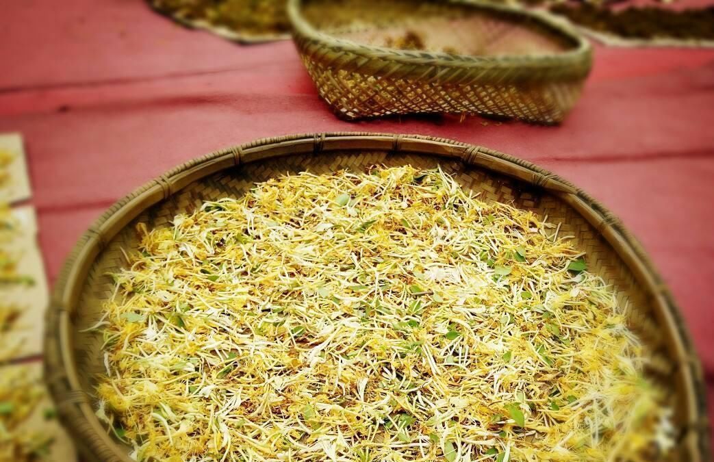 肝毒|黄芪和它是“天生一对”,搭配饮用,补气养血、排出肝毒