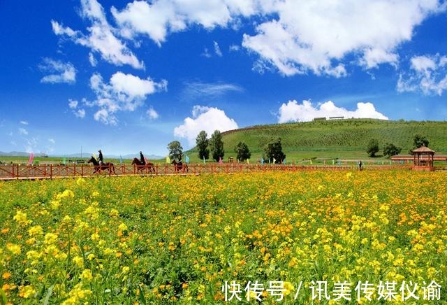 消夏|消夏避暑，走进沽源最美的季节