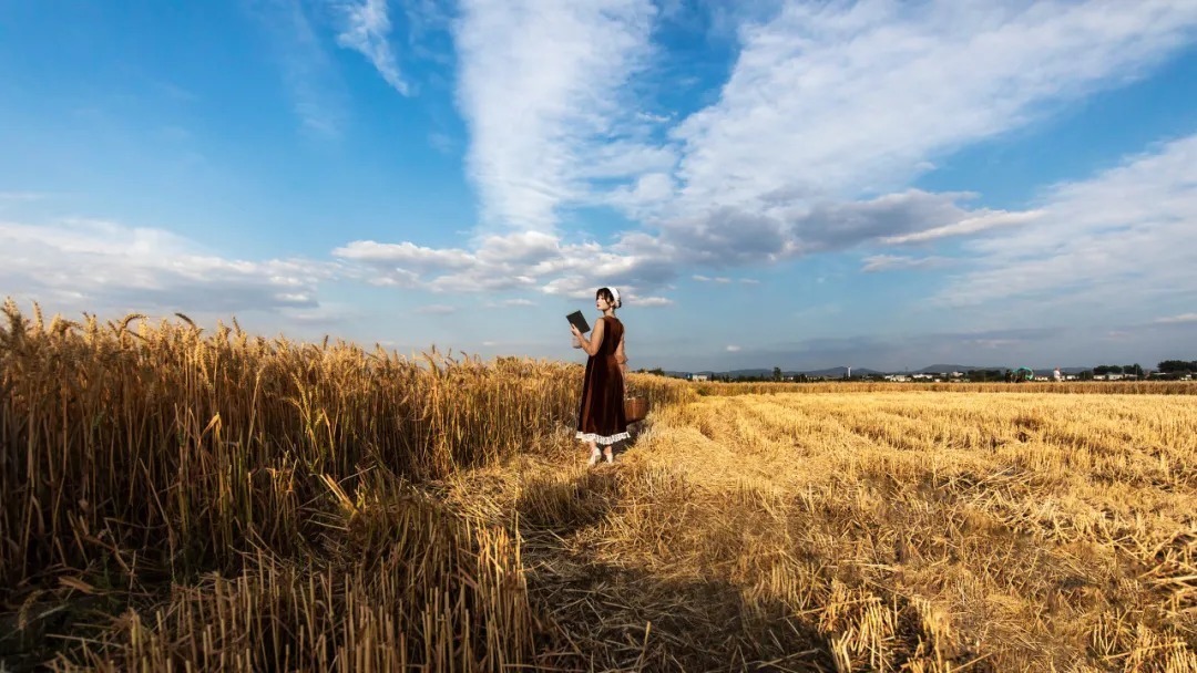 幸福#莫言《晚熟的人》最精辟的5句话,真正的人间清醒