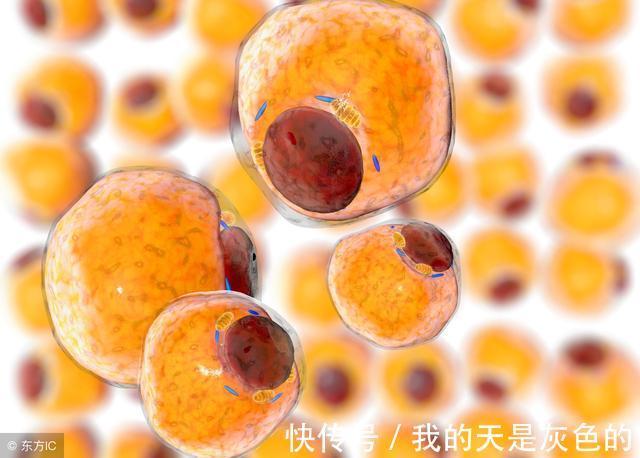 苦瓜|糖尿病如何控制并发症,研究发现每天吃点这可让血糖慢慢降下去