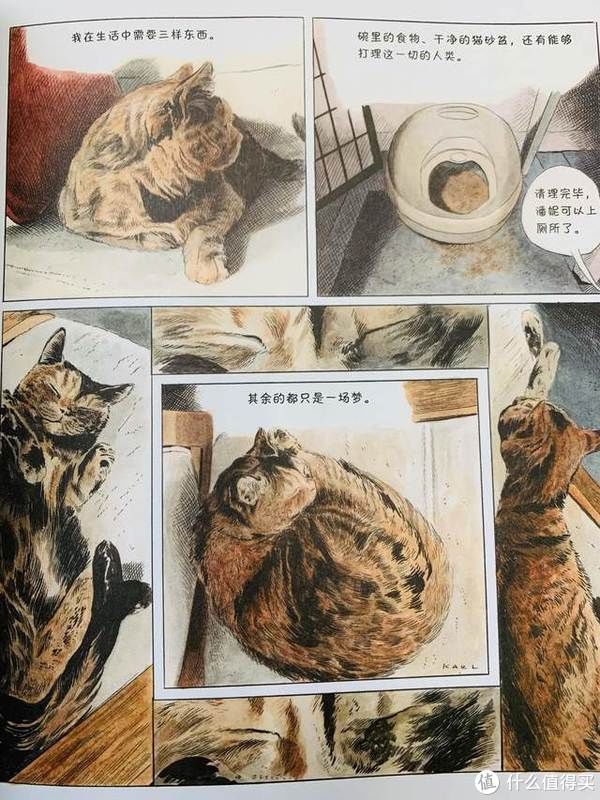 猫生|爆笑治愈的猫生漫画,你不是猫,你怎么知道猫怎么想?