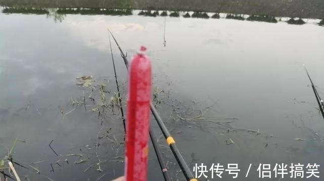 麝香|被吹上天4种钓鱼饵料,我已经替你们试过,以后别再被骗了