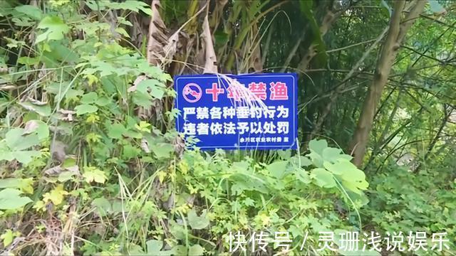 没收渔具并处罚!重庆男子尴尬渔获引争议,禁钓是否该严行?