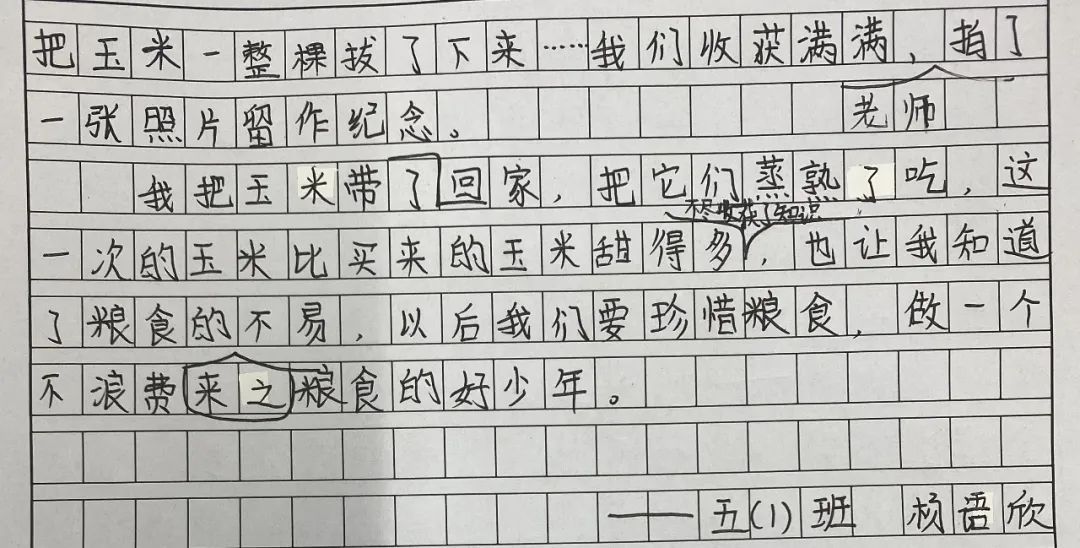 农场|“双减”之下，且看实小福溪校区如何给劳动教育做“加法”