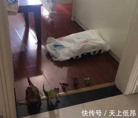 儿子|为了不让妹妹打扰自己写作业,哥哥想了个办法,妈妈看见后:绝了