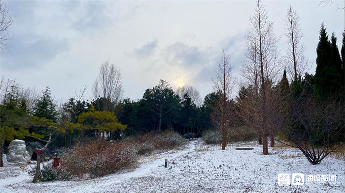 新闻记者|组图｜煮酒温茶，有雪如画 邂逅2021年末这场大雪