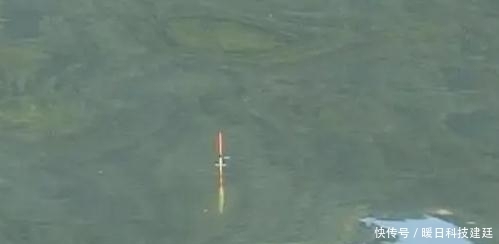 钓鱼|野钓经验谈之八调四钓二真的有用么?上鱼才是硬道理