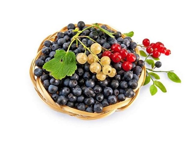 营养物质|哪些食物可以帮助对抗衰老6种食物少不了,让你精气神更佳