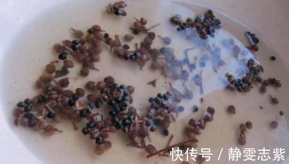 胡椒|女性常用花椒敷2处，不出30天，子宫变暖，赘肉慢慢消失不见