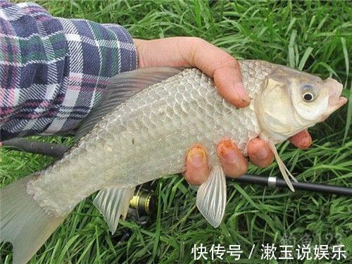 蚯蚓钓鱼早落伍了！63岁钓鱼人教你大蒜钓鱼法，把整个鱼塘钓空