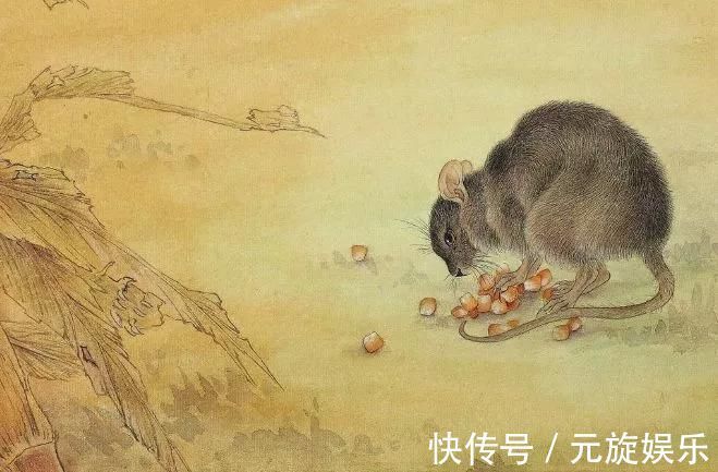鼠人|几月出生的生肖鼠，胆小如鼠，却有挥金如土的好命，富着过一生