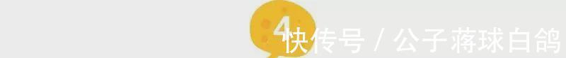 啤酒|一顿海鲜大餐才是来青岛的终极目的