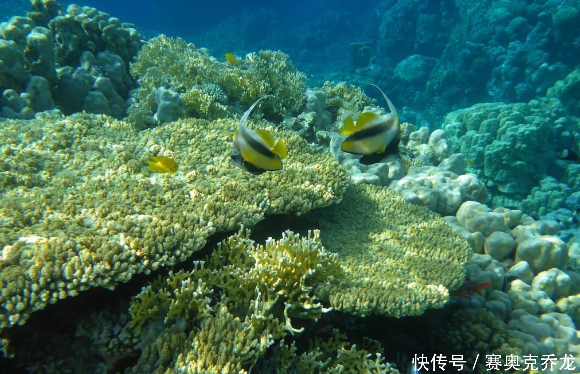 透镜体 永暑岛四面环海,为何岛屿地下有大规模淡水?
