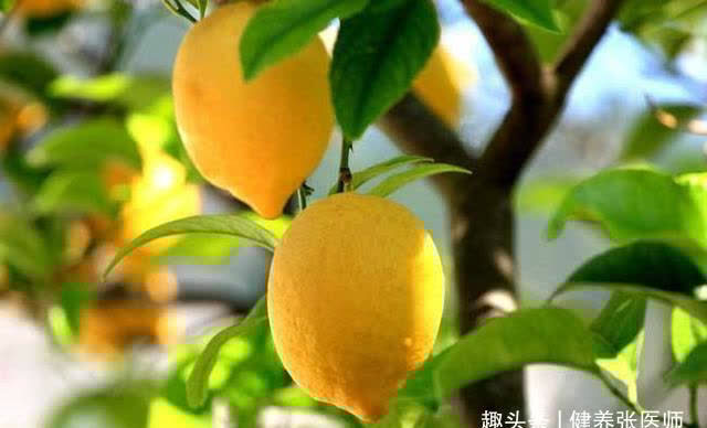 张医师|适合秋季吃的3种食物,美容养颜,延缓衰老,早吃早健康!