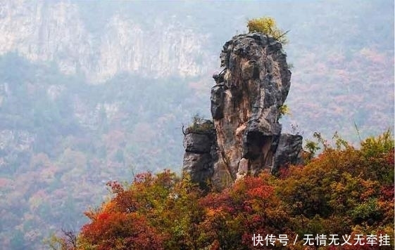 这个5A景区边的优美山地，被誉为河南九寨沟，趁未收门票赶紧去