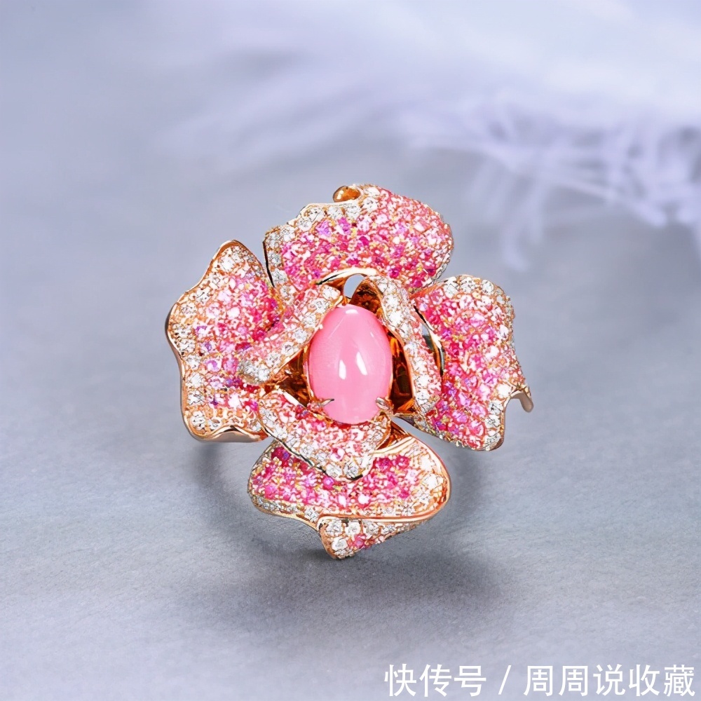 正确|正确选择比钻石还稀有的有机宝石海螺珠