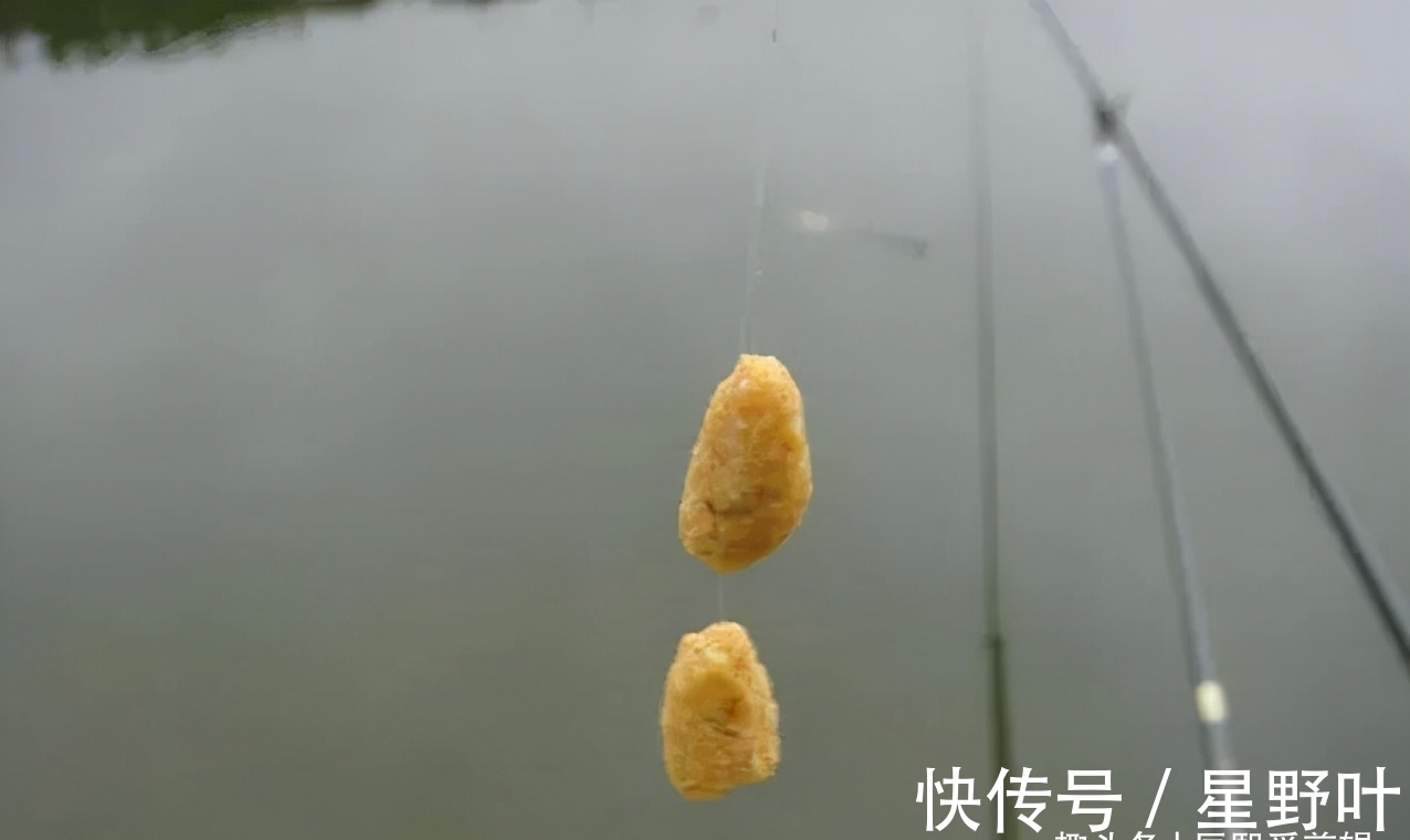 冬钓哪种饵料效果好?别再纠结了,老钓手教你正确选择饵料