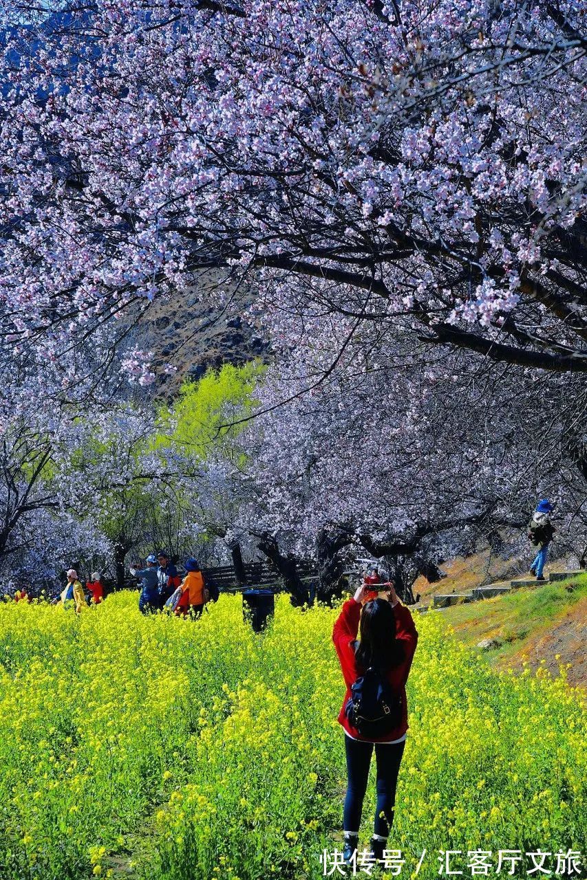 米堆冰川|雪域江南，醉美林芝，如果可以，2022的春天一起相约桃花节！