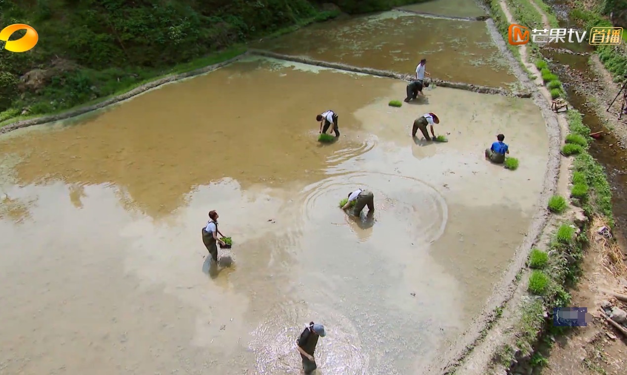 《向往3》强行塞新人，黄磊2次表达不满，连何炅都面露疲态