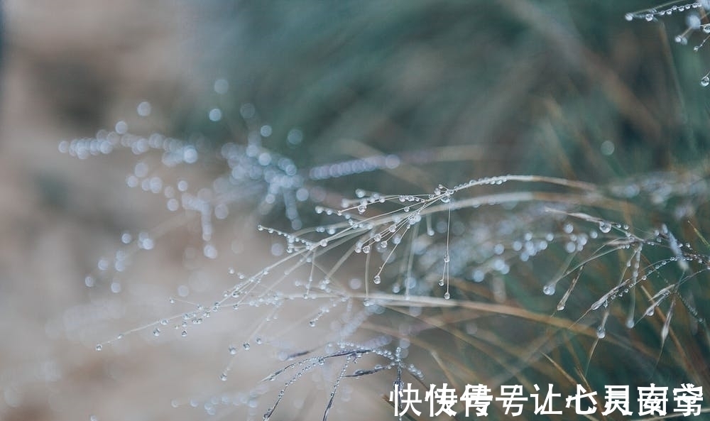 微雨#李商隐这首写雨的诗，没有一个雨字，却句句有雨