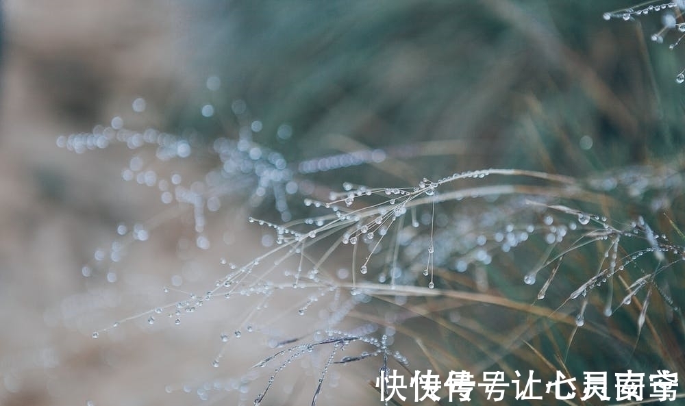 微雨#李商隐这首写雨的诗,没有一个雨字,却句句有雨