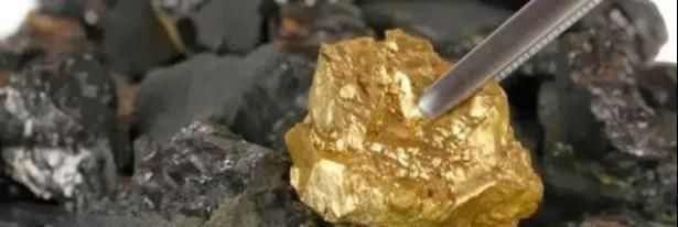 一群科学家苦苦探索寻找暗物质失败,却意外发现了大量黄金