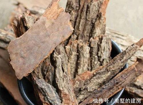 橘子皮|养花人惯用4种“宝贝”,盆里加一点,肥力足不烧根,花开爆满盆