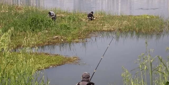 冬季|冬钓时,这三个位置不宜考虑,莫不信,老司机们都晓得,不学亏了