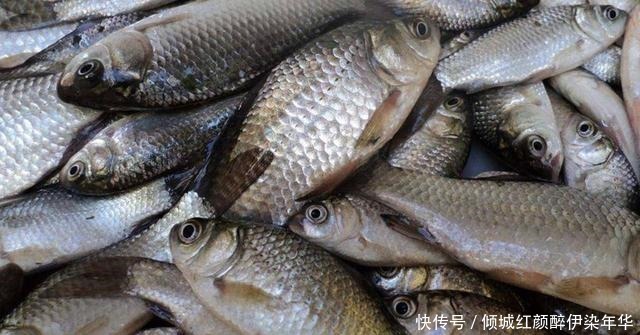 早春出钓时机最为重要,这几种天气错过你会错过很多渔获