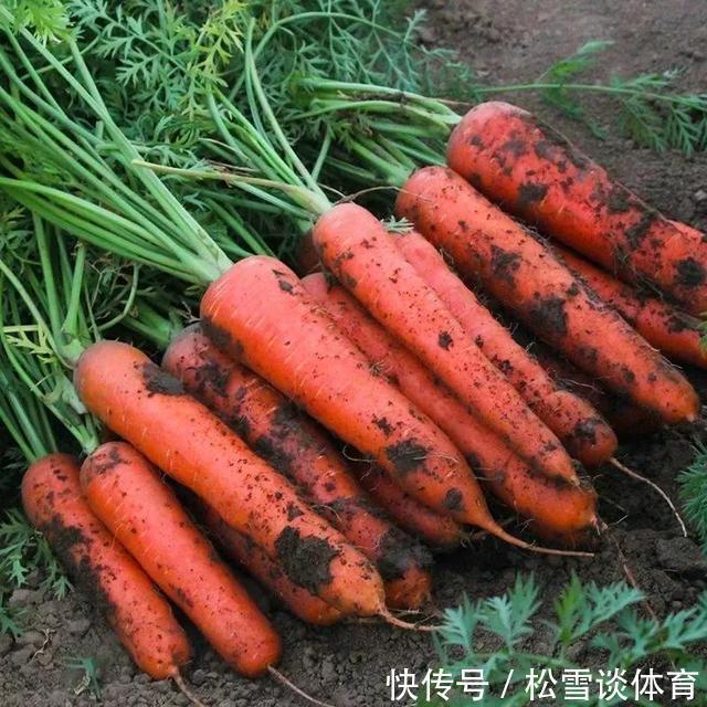 金桔|女人想要“老得慢”,记得常吃7种食物,价格不高,人人吃得起