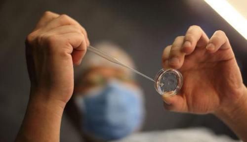 “试管婴儿”和正常孩子有什么区别不在于寿命长短,而是这一点