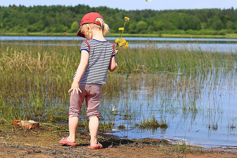 礼貌|“你大姑姐的孩子是客人,文具盒该给他,你是怎么教孩子的”