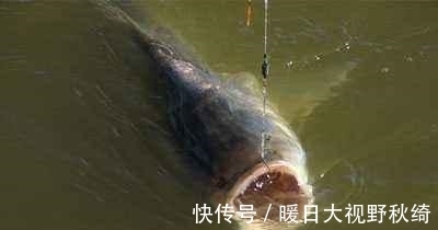 大窝|哎!很多钓友都是这样打窝,难怪鱼获越来越少