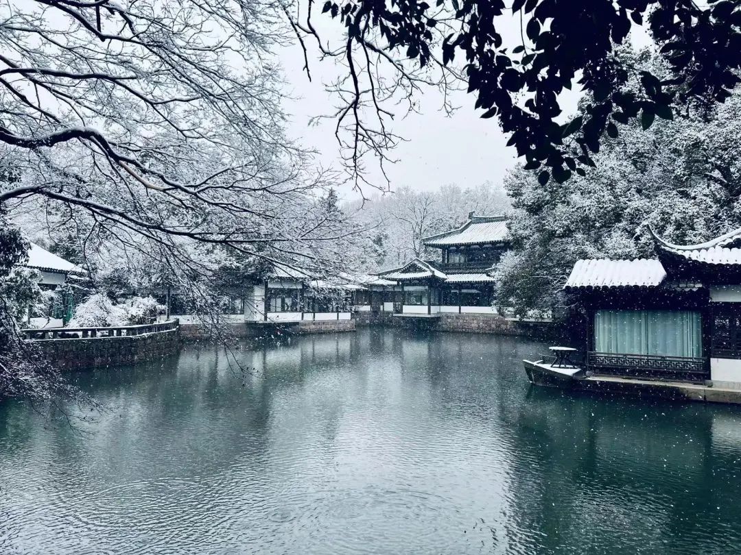 雨雪|此刻的杭州，太美了吧！