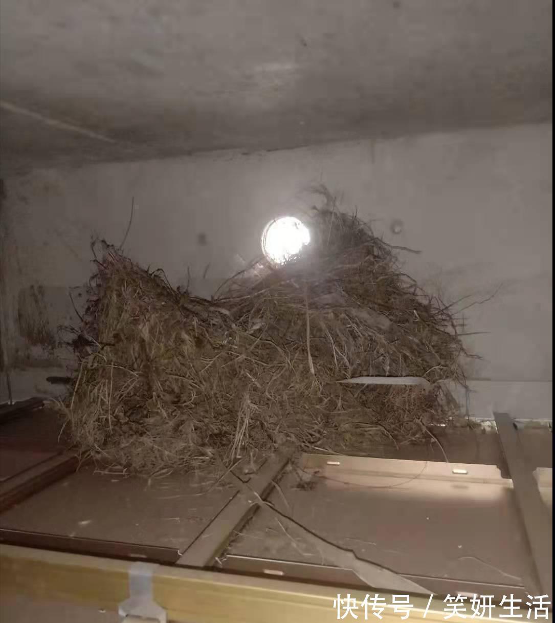 地气|第二次装修，坚持5条最接地气的家居决定，让硬装施工不被坑！