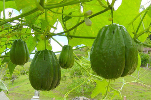 排毒|人到中年,推荐多吃3种食物,排毒养颜,肌肤美白又细腻