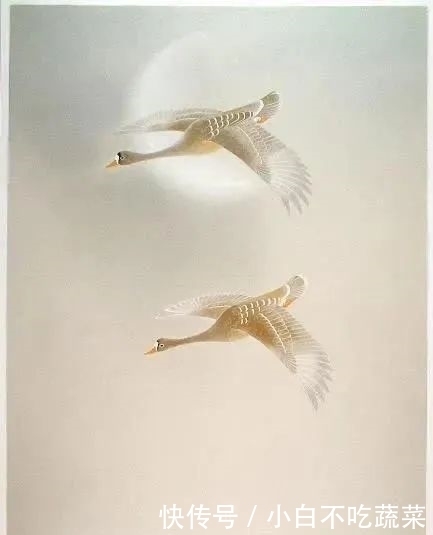 这画中的小生命，纯净天真