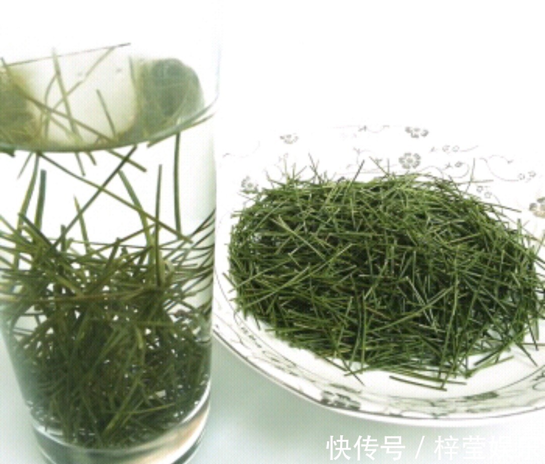 失眠|山里的这“针”，能治便秘与失眠，必要时还是急救良药