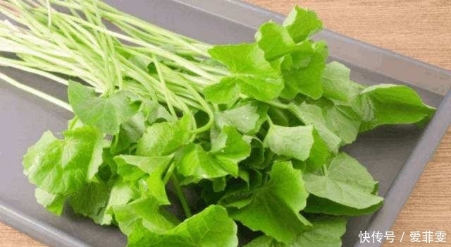 杂草|农村这个野草，别把它当成杂草，能吃还能观赏