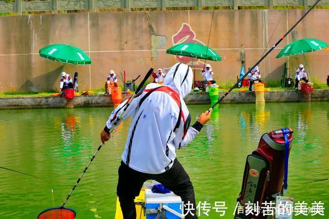 秋天钓鱼，怎样让鱼口变得更好秋天改善鱼口的技巧和方法