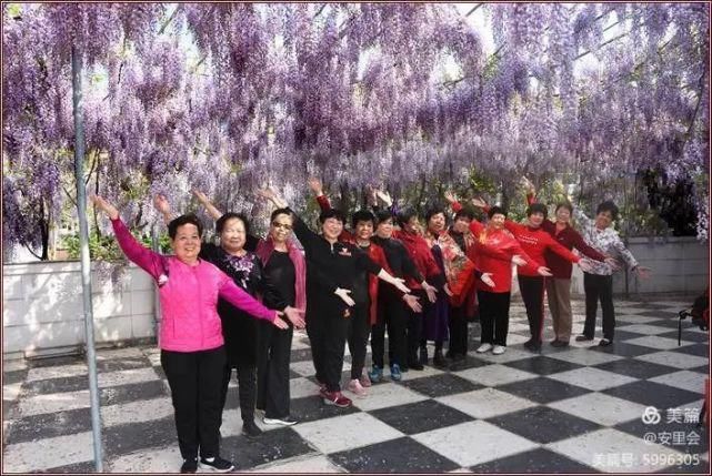 太漂亮了！此花此景在德化这个地方！你知道吗