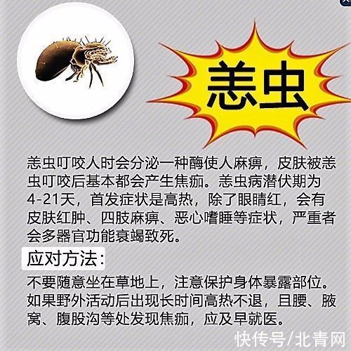 李芬|夏日户外活动衣物要“全覆盖”谨防恙虫叮咬