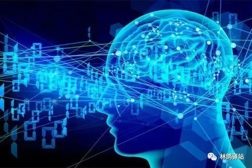 数据|数据审核很难做吗?成为合作商后,该如何运营一家AI审核公司呢?